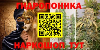амф Можга