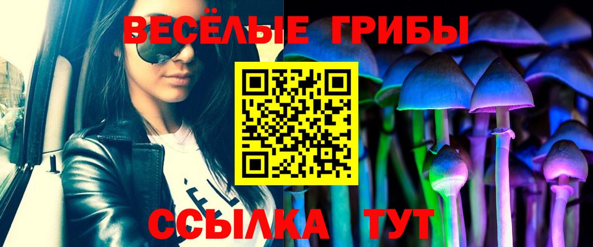 Электрогорск  Галлюциногенные грибы GOLDEN TEACHER  Вход с VPN 